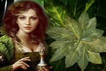 Чиста и здрава кожа с дафинов лист